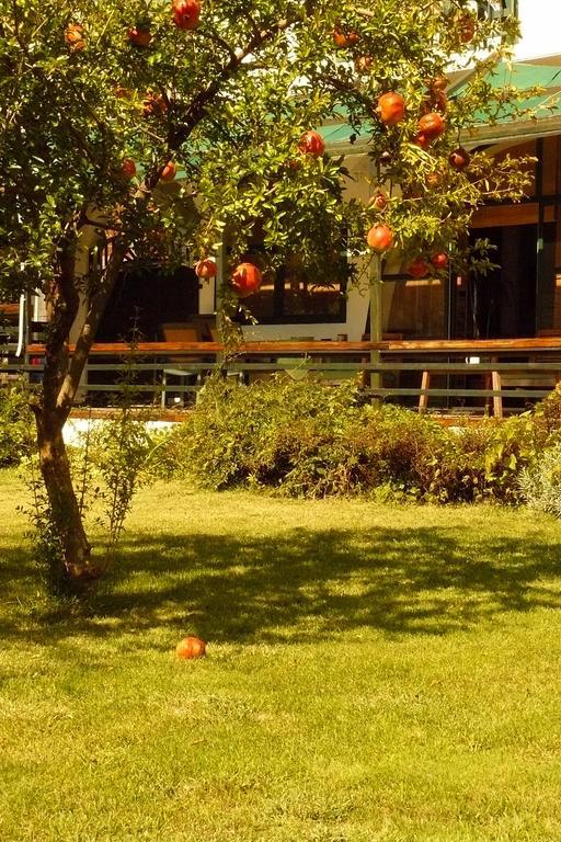 Trogirsunset Apartments Bagian luar foto